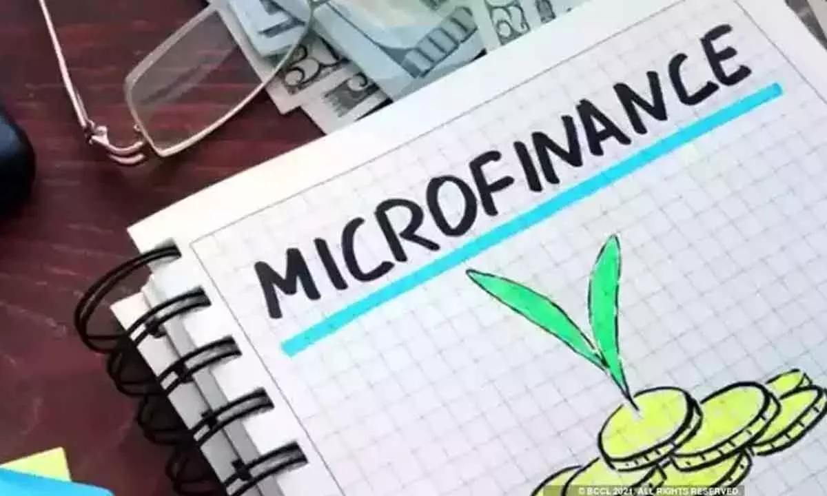 MFIs lead in microfinance