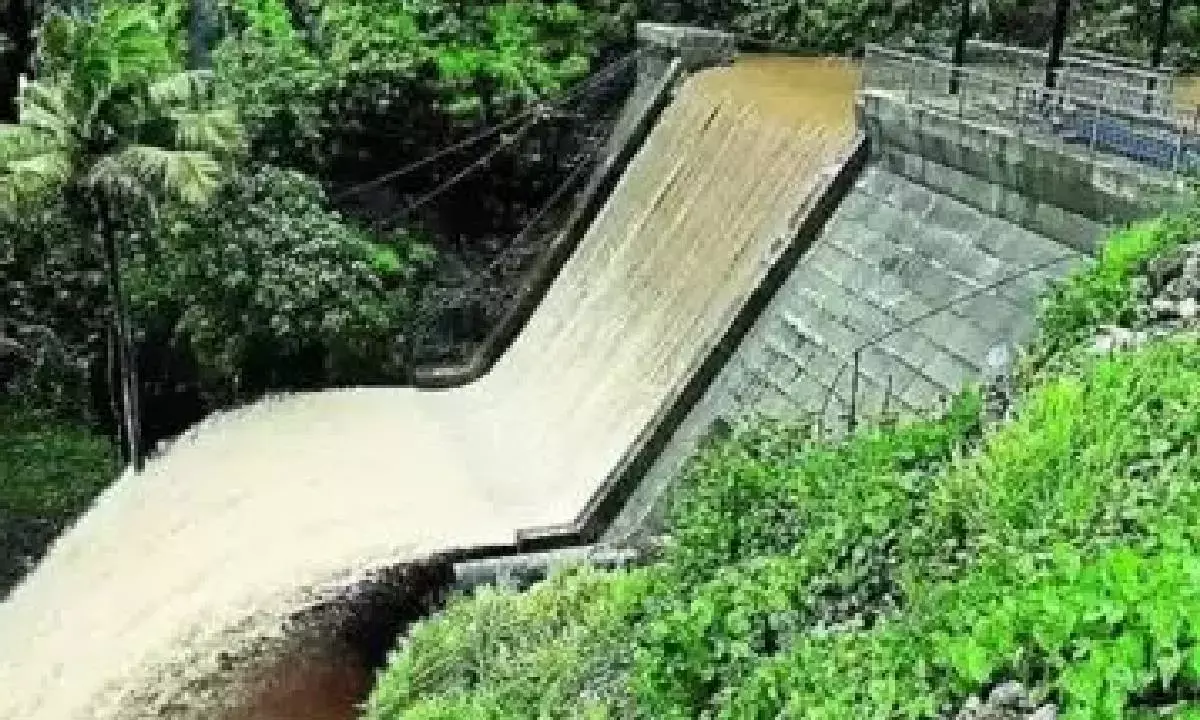 Childhood inspiration turns into private hydel project