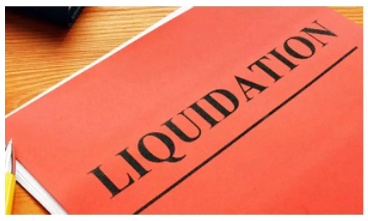 Liquidation remains most common path of closure for cases under insolvency resolution process
