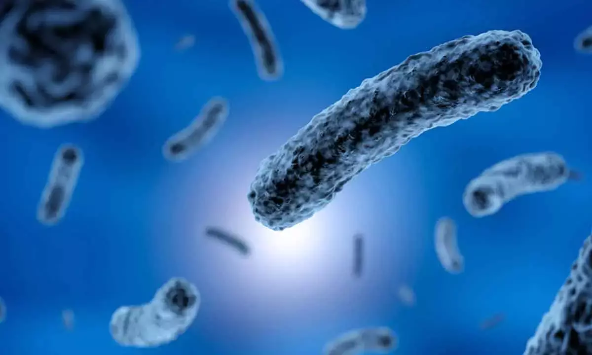 Drug-resistant superbugs may kill 10 million people per year by 2050