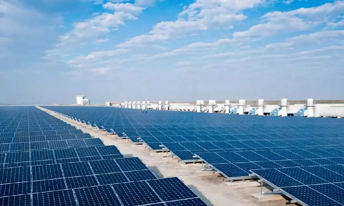 New solar projects poised for big gain as module prices fall: CRISIL report