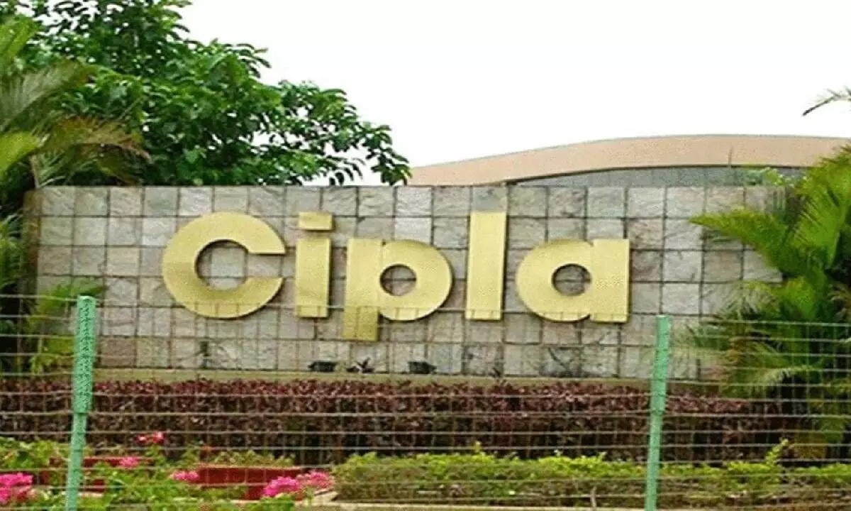 Cipla top loser in Nifty as US FDA issues warning letter