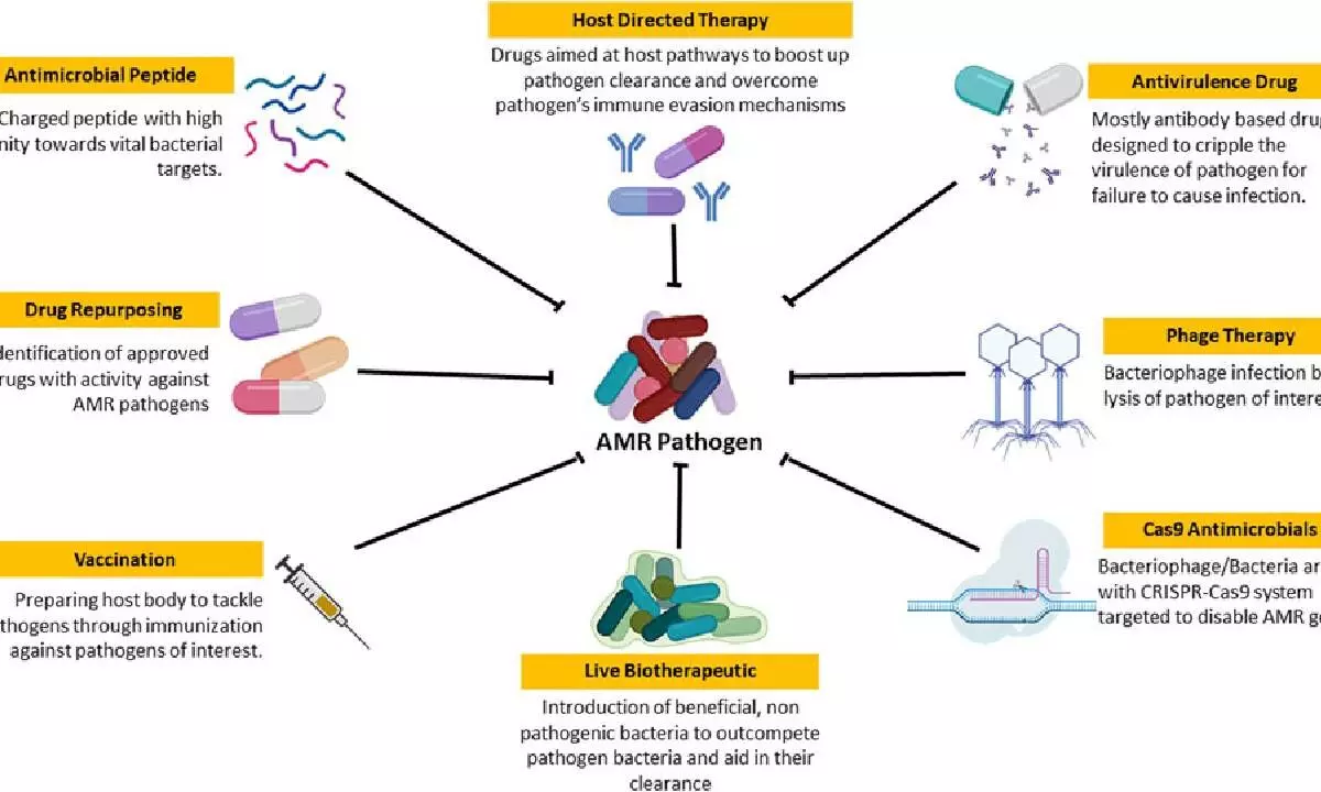 Investment in novel therapies key to tackle antimicrobial resistance: Report