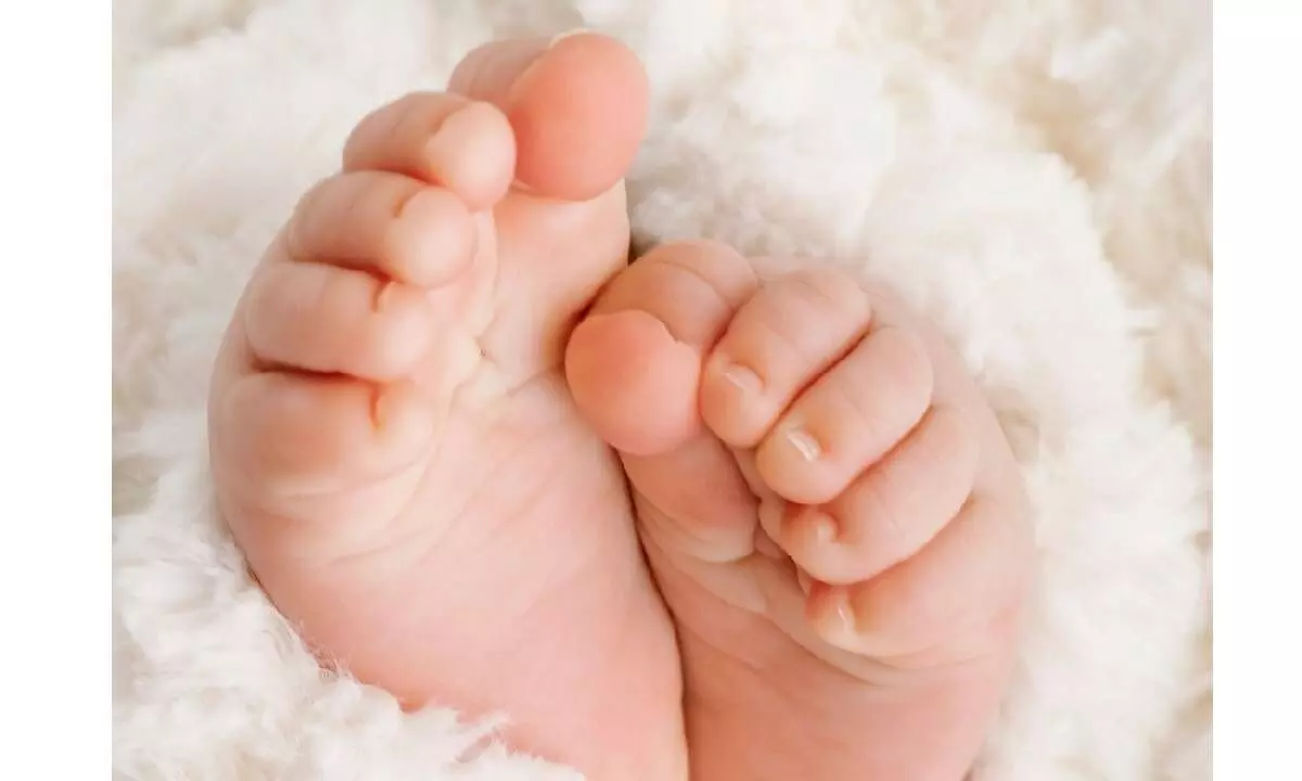 Study shows newborn babies can perceive ‘beat’ in music Study shows newborn babies can perceive ‘beat’ in music