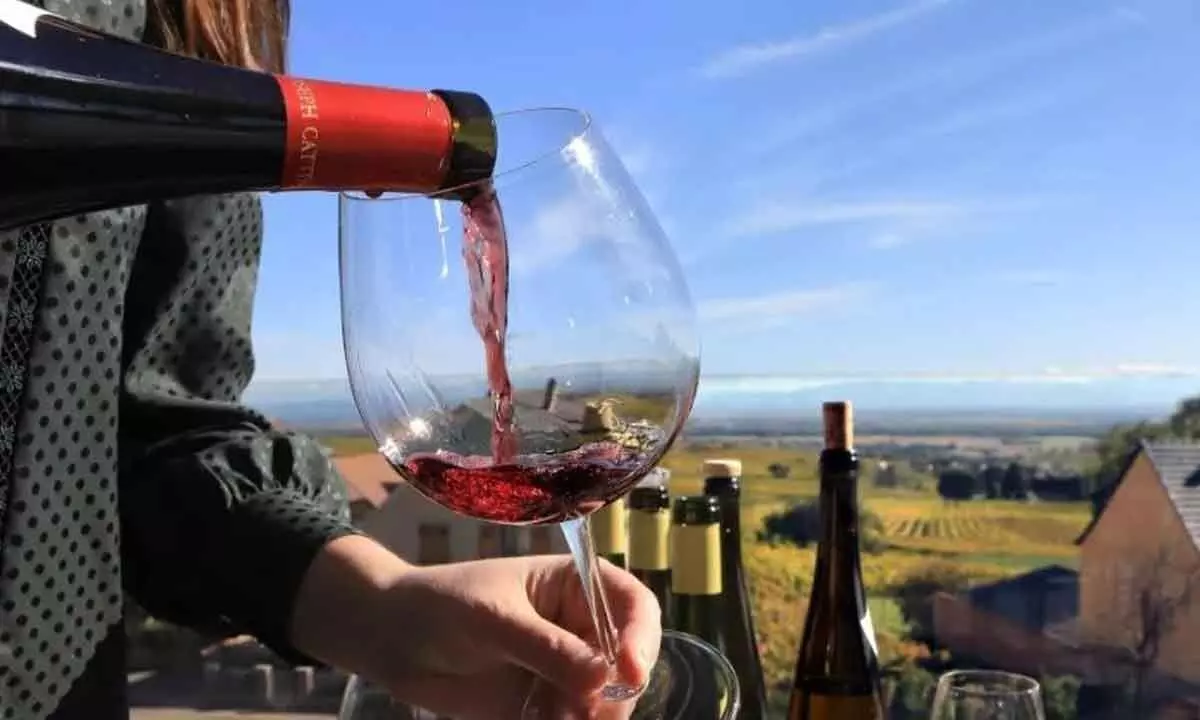Wine tourism gets due attention, at long last