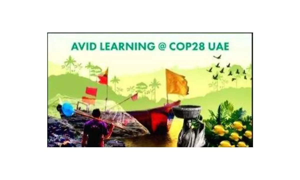 Avid Learning to amplify voices of cultural sustainability and environmental innovation at COP28