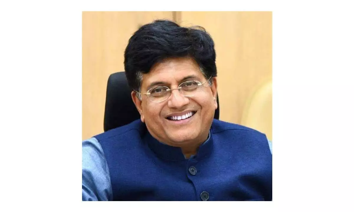 India does not rush into free trade pacts: Goyal