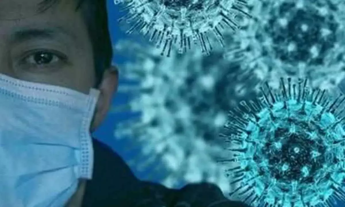 Overweight body hampers immune response to Covid