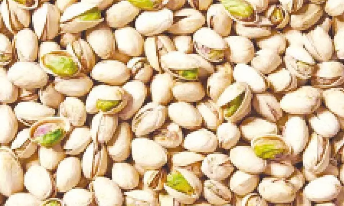 A greatly rewarding potential awaits Indian pistachio market