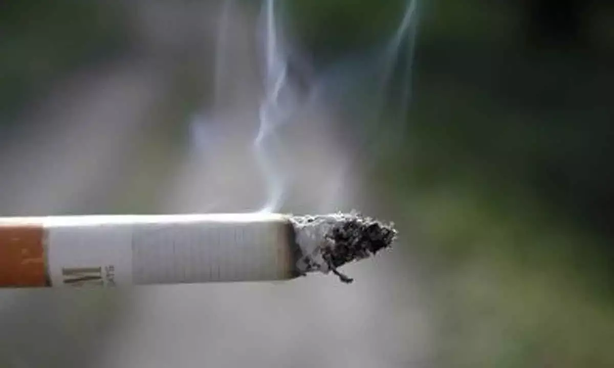 Plastic pollution from cigarettes costs $26bn