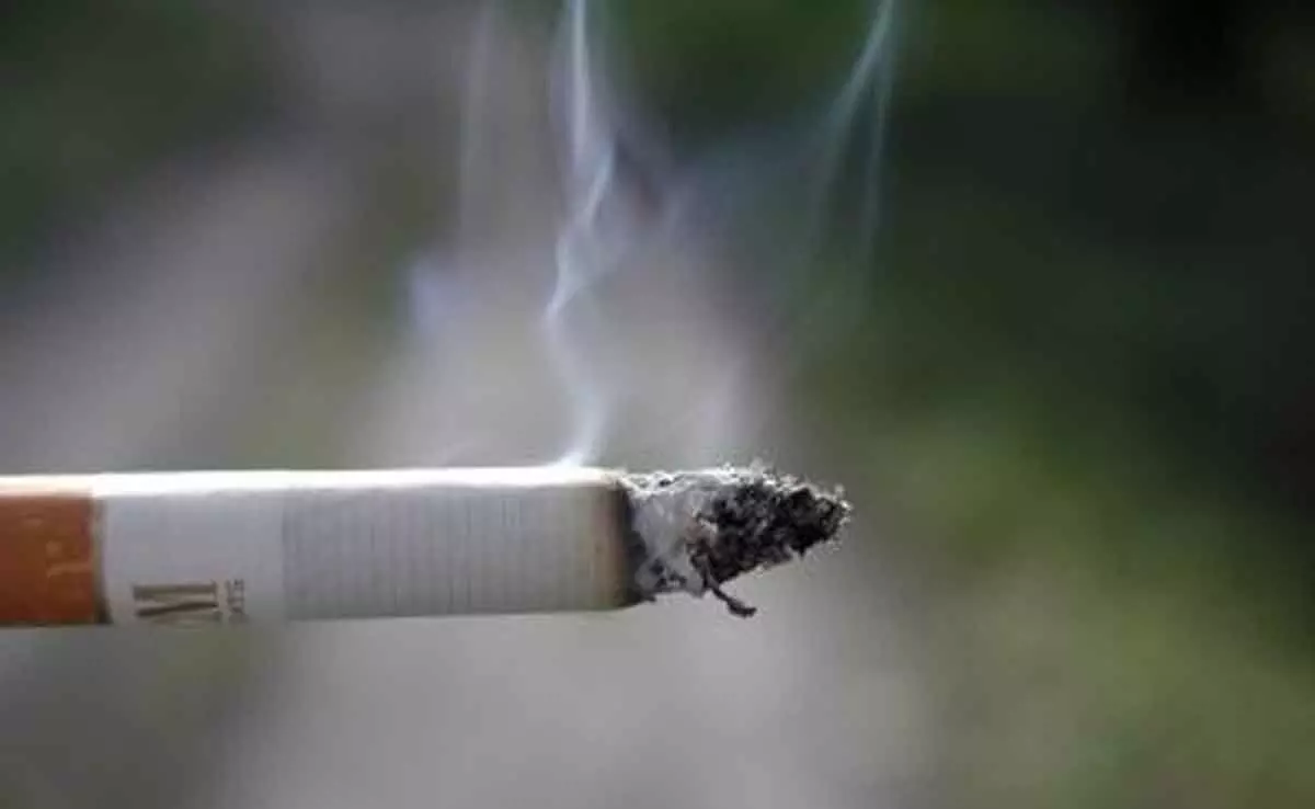 Plastic pollution from cigarettes costs $26bn