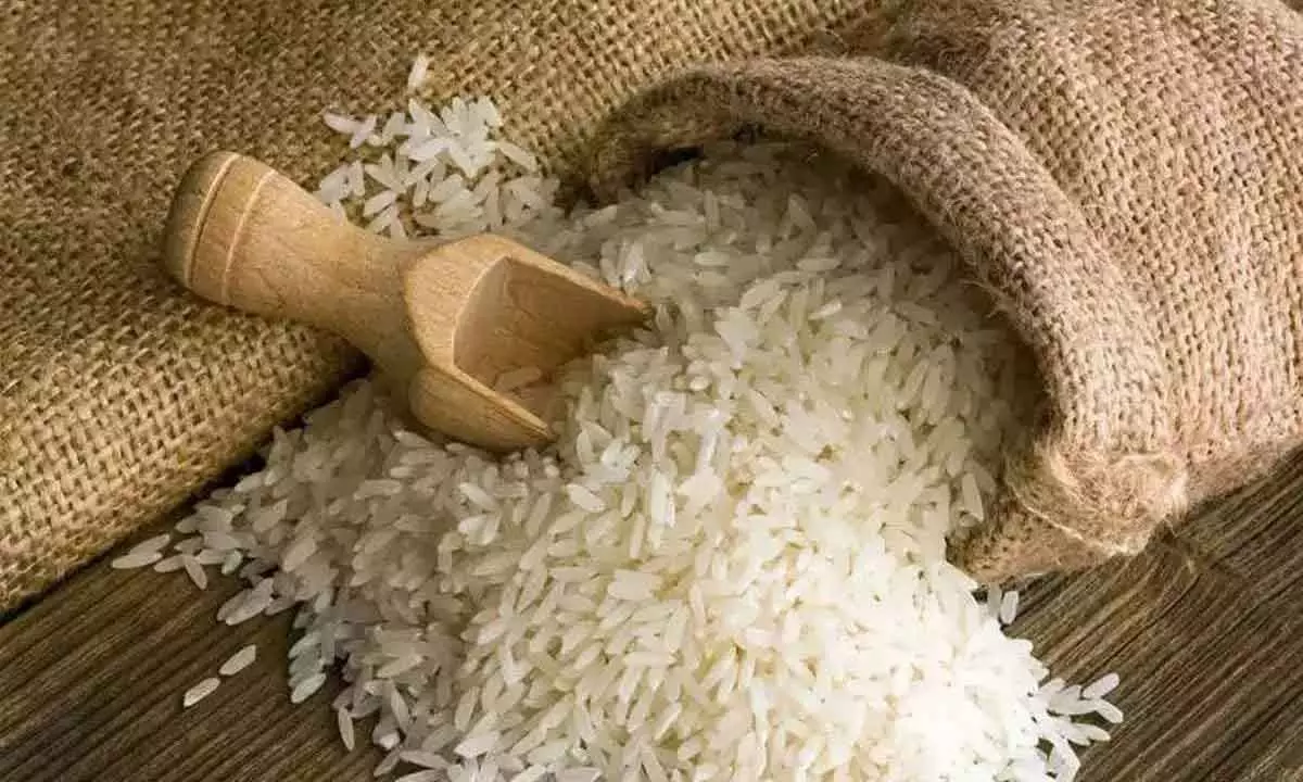 Govt permits to ship 20MT of non-basmati rice