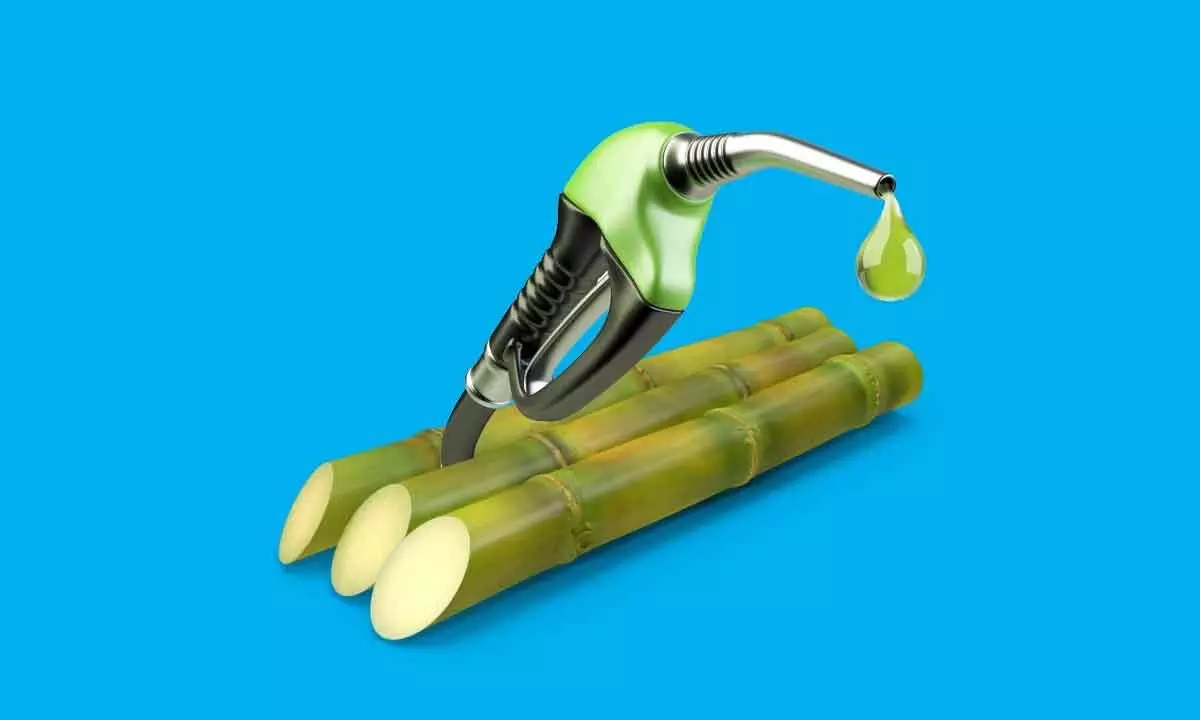 Govt bars sugarcane juice for ethanol production