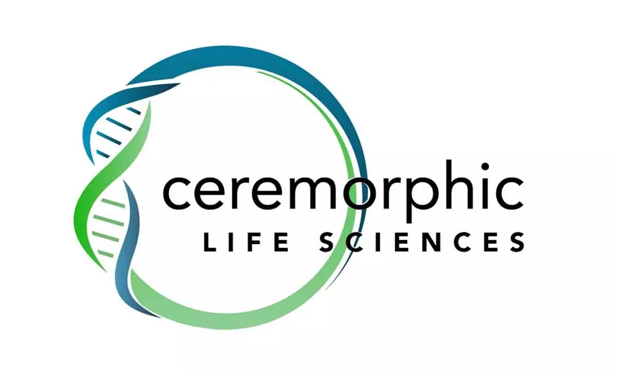 Ceremorphic Life unveils drug discovery platform