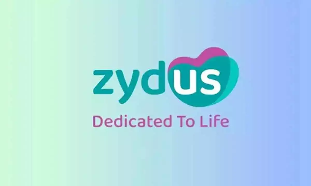 Zydus inks pact with Daewoong
