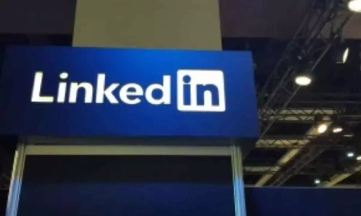 professional social networking platform LinkedIn
