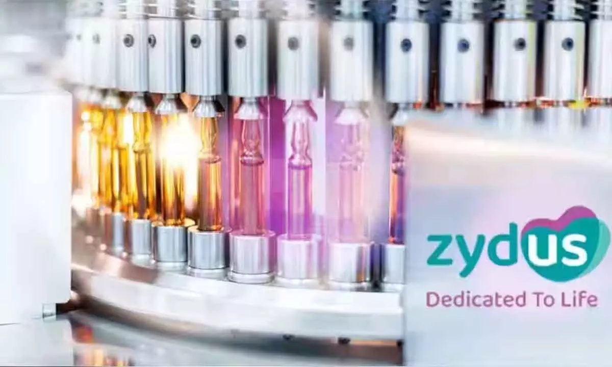 Zydus gets USFDA nod