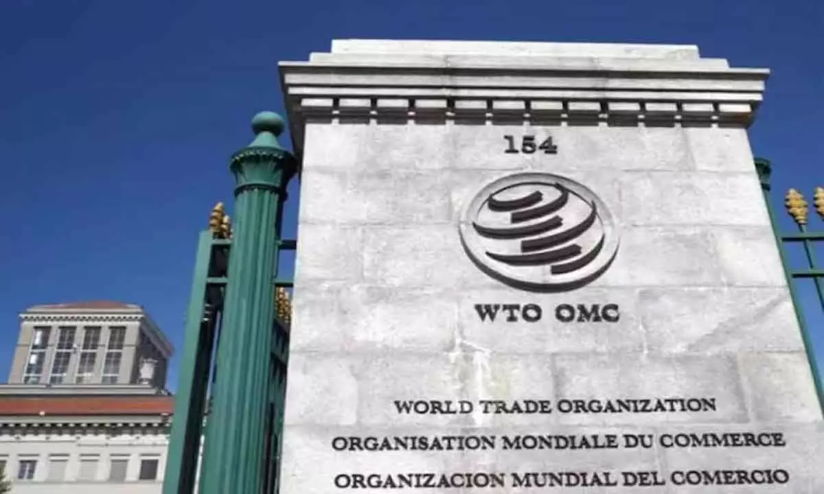 India appeals against WTO Panel ruling