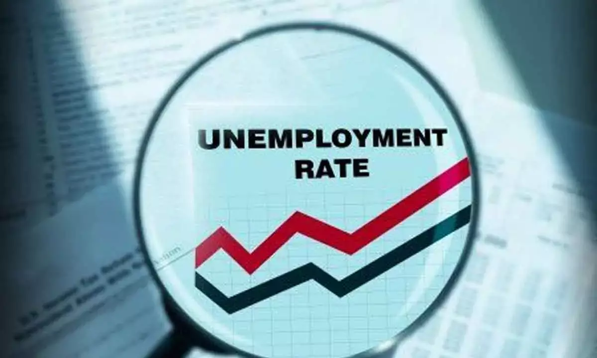 Unemployment rate among graduates declines to 13.4%