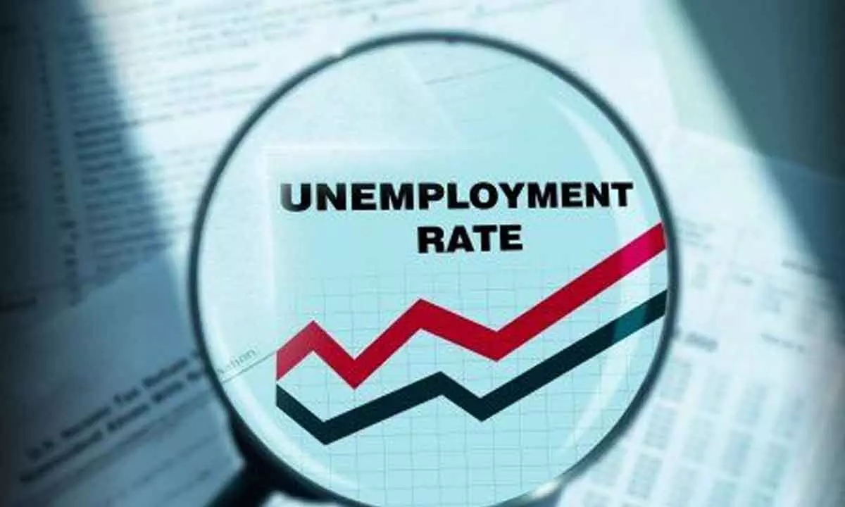Unemployment rate among graduates declines to 13.4%