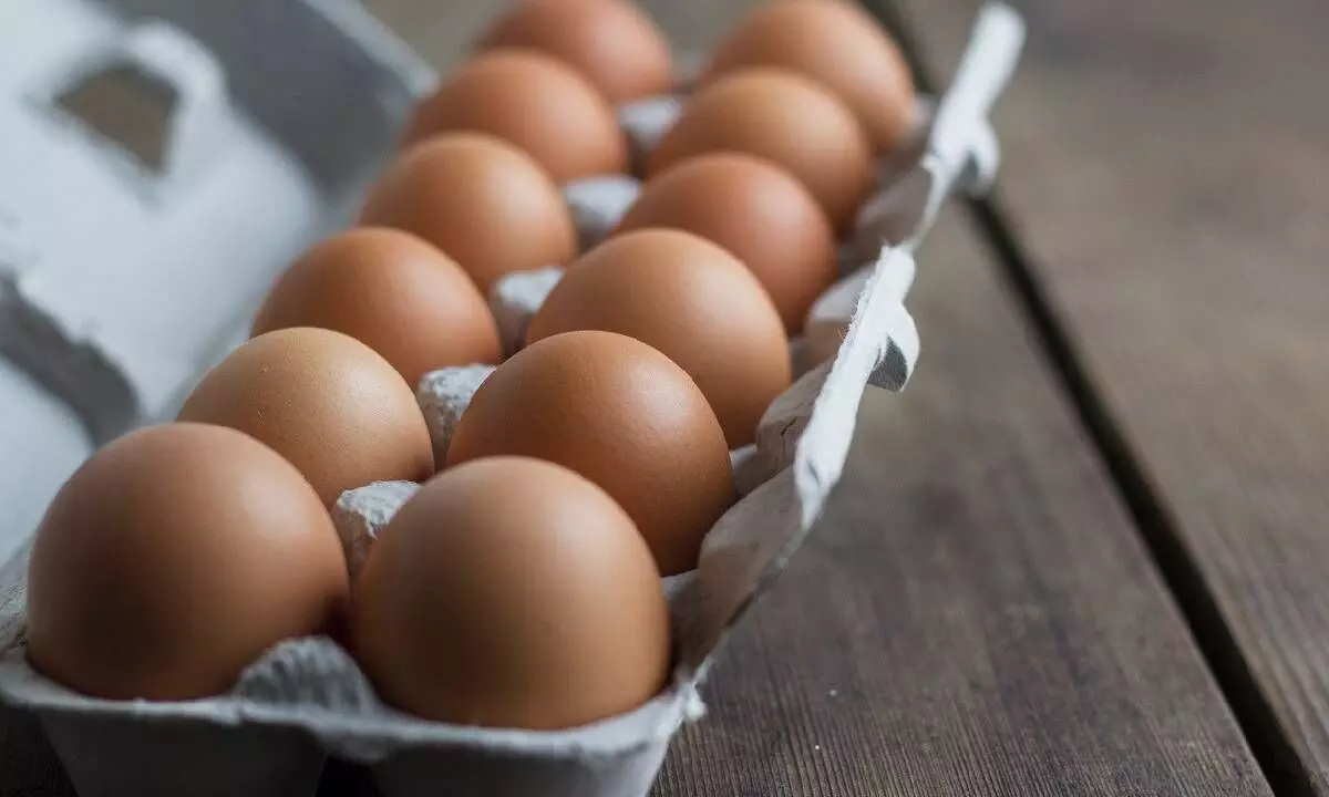 Michaung effect: Skyrocketing price of eggs in Kolkata’s retail markets
