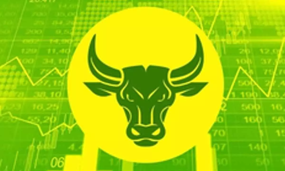 Bull run subject to short-term volatility
