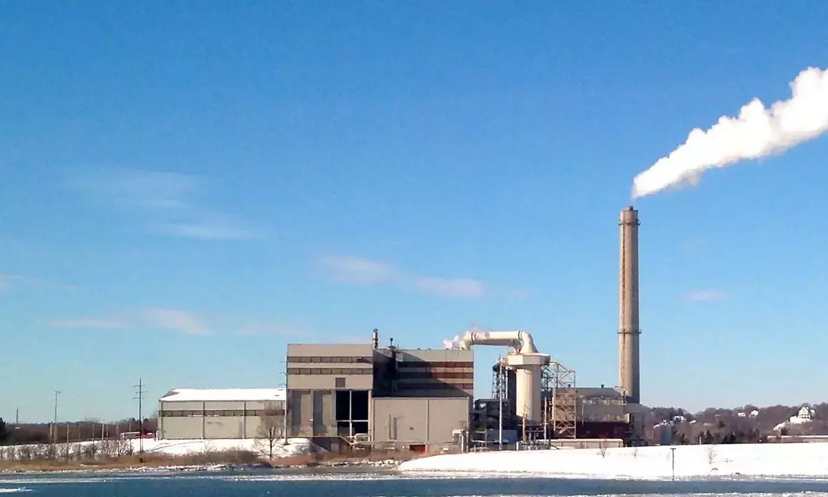 Parliamentary panel suggests SPV to buy power from waste to electricity plants