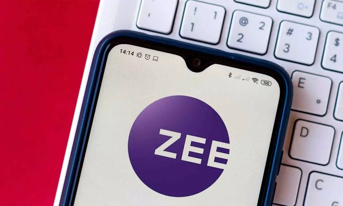 Zee shares now down 30% in a single trading session