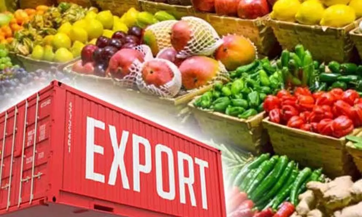 Agri exports are a major boon to GDP
