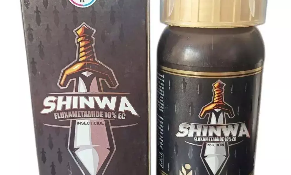 Shinwa insecticide launched by IIL drives prosperity in chilli farming