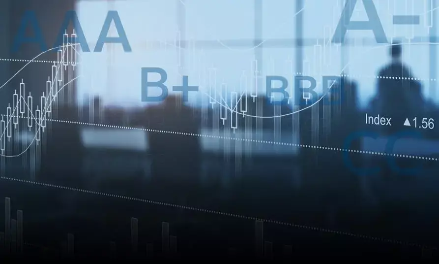 Global credit rating agencies should re-look their methodologies: CEAs co-authored article