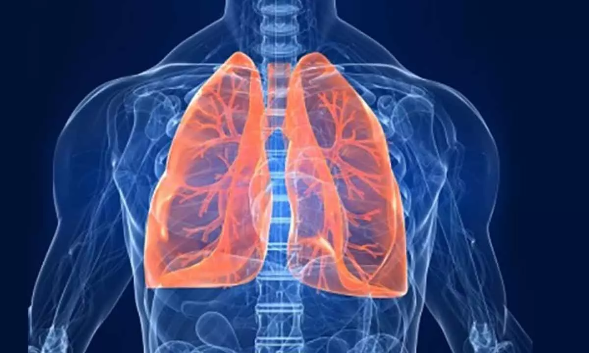 Why diabetes disrupts lung function?