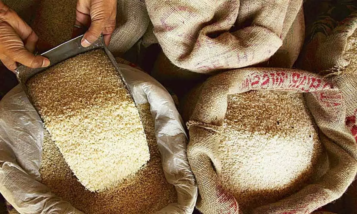 Govt checking wheat, rice price rise