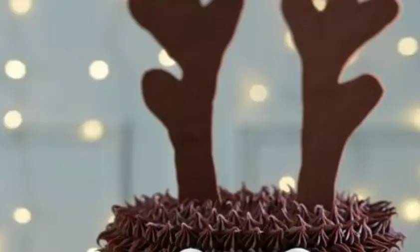 5 easy homemade Christmas cake recipes for DIY delight