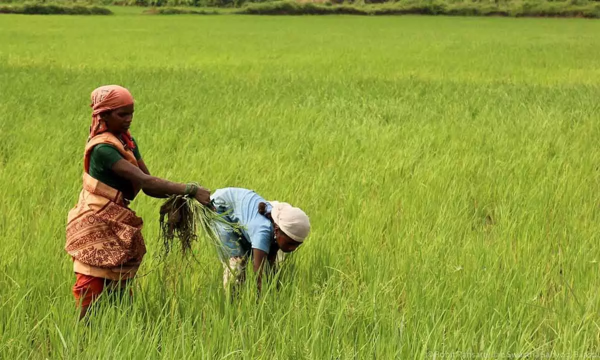 Climate change casts a shadow on agriculture; growth rate dips to worrisome levels