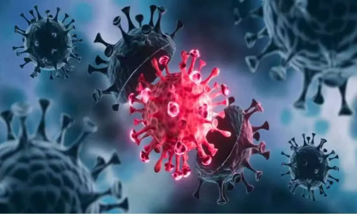 How common cold virus boosts immune system to fight Covid