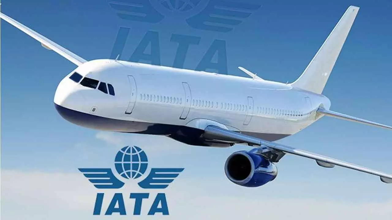 IATA projects a more profitable year ahead for global aviation