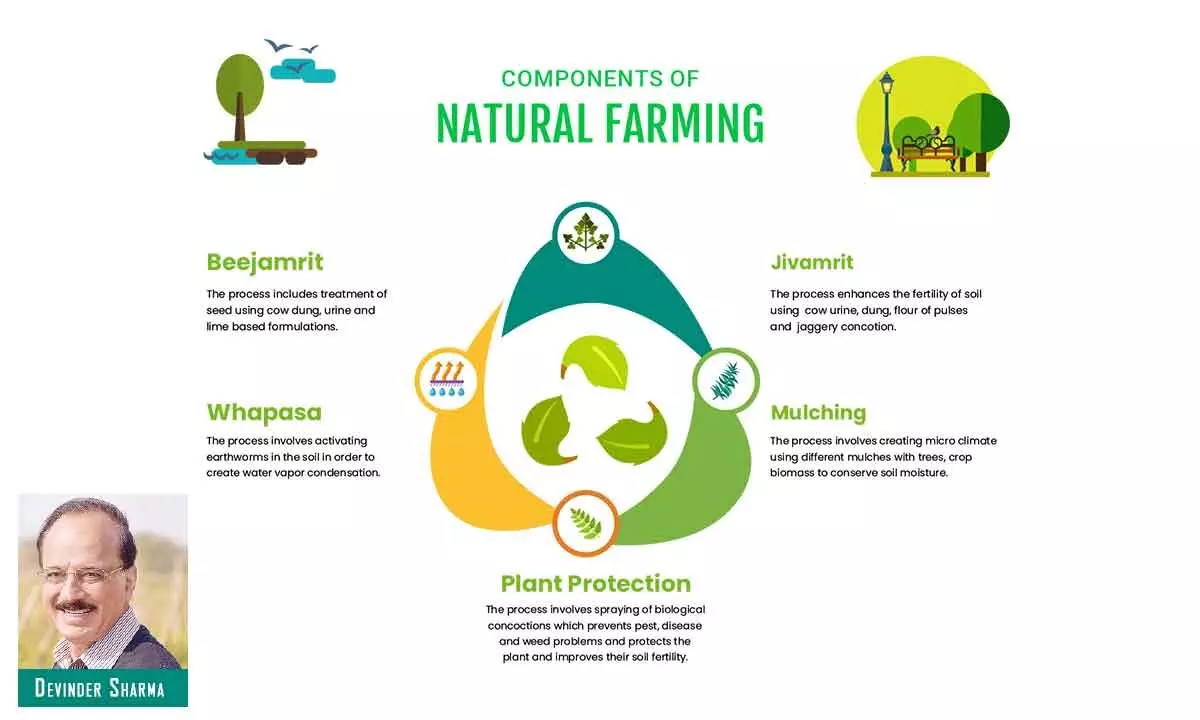 Time to tap natural farming solutions to combat climate threat to food security