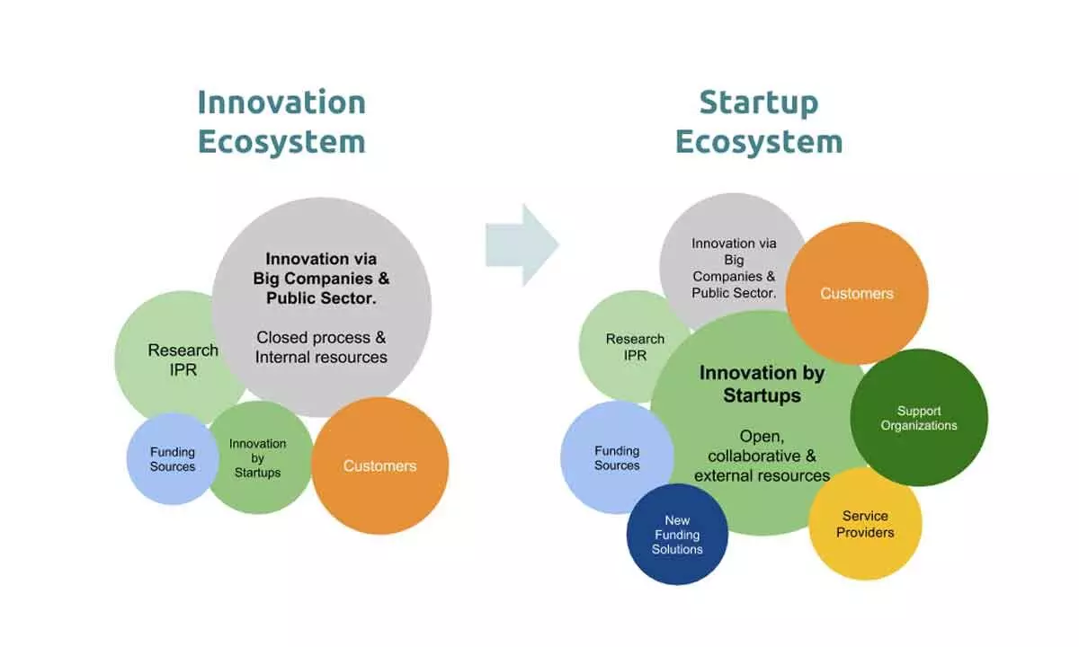 Investors see strong growth of the maturing startup ecosystem in 2024