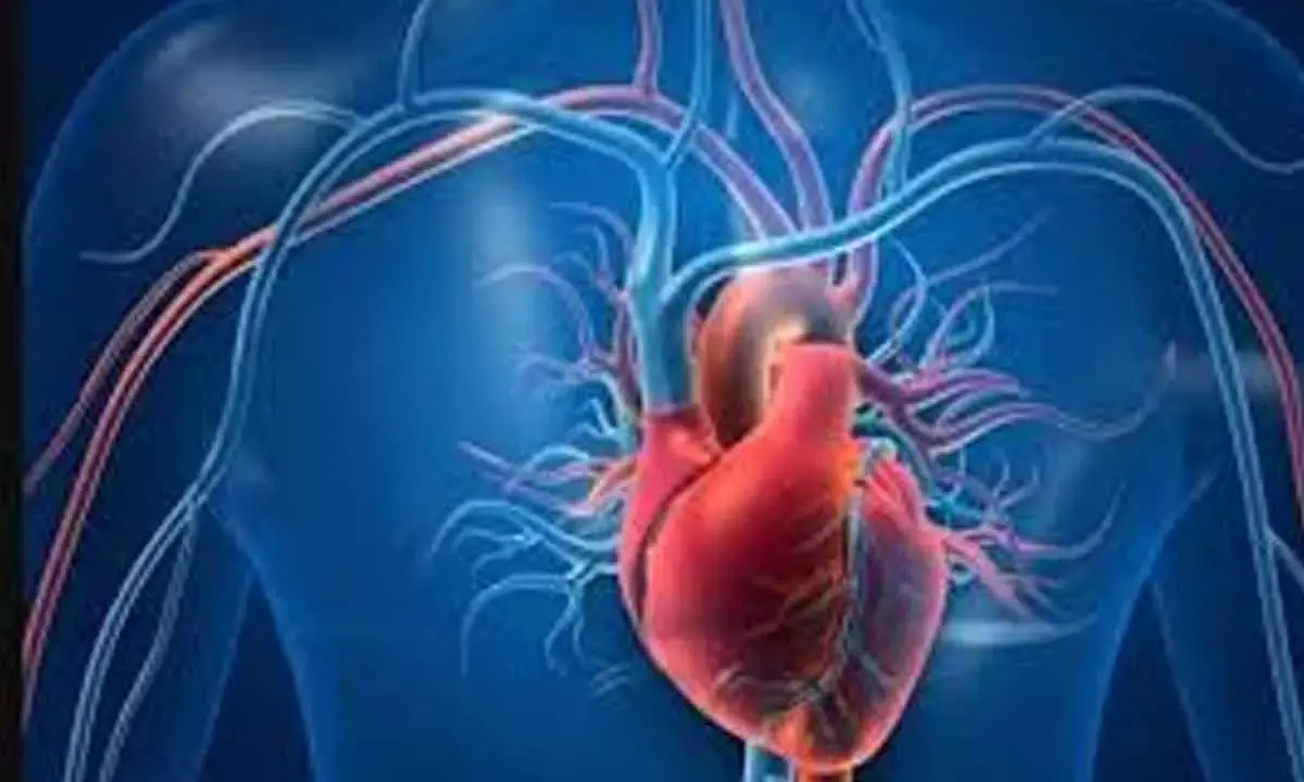 Fit and dead: The puzzling rise of cardiac deaths in young people