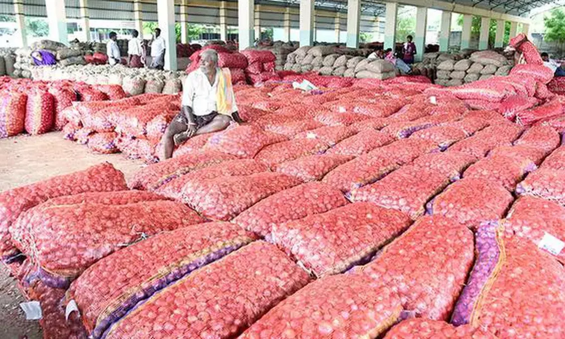 Govt procures 25,000 tonnes of kharif onion so far for buffer stock