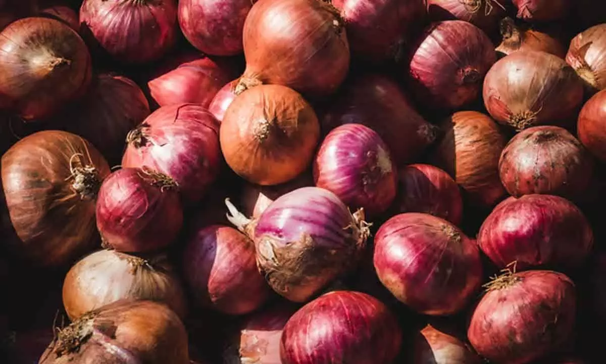 Govt allows export of 99,150 tonnes of onion to 6 countries