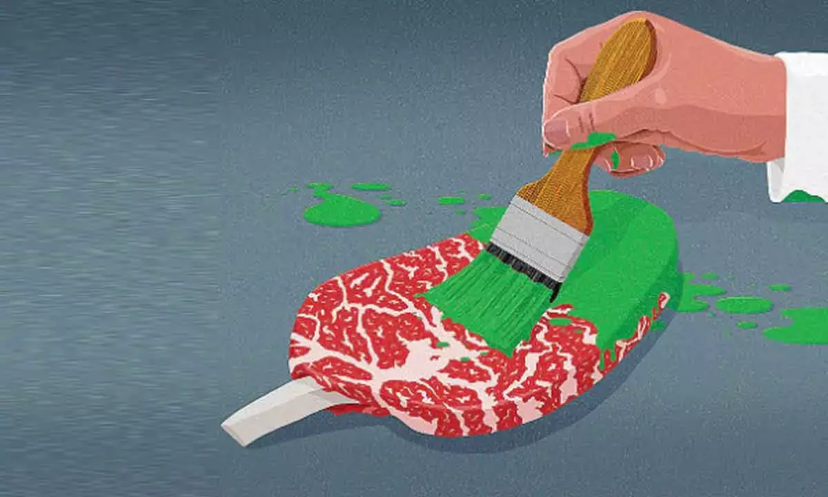 How the livestock industry distorts climate science for green washing