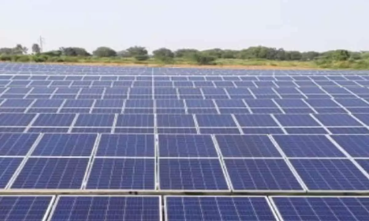 Indian solar energy tech firms see $1 bn funding in Jan, despite 9% dip in 2023: Report