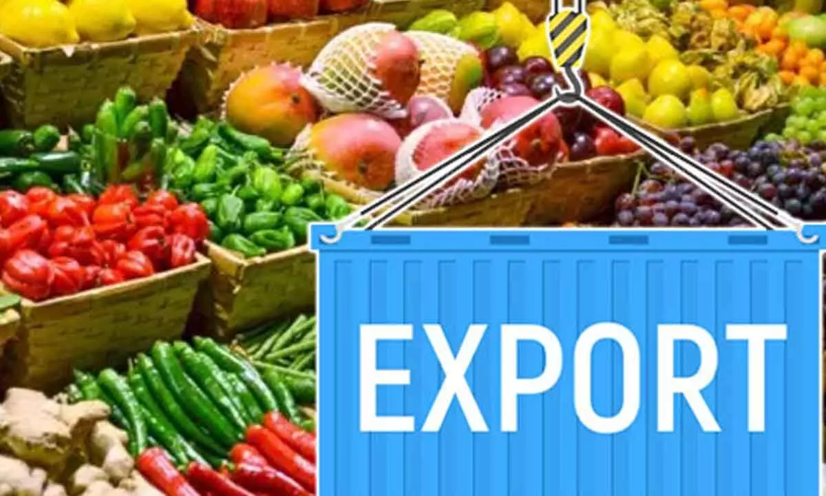 Agriculture exports set for 2-fold growth to $100bn by 2030