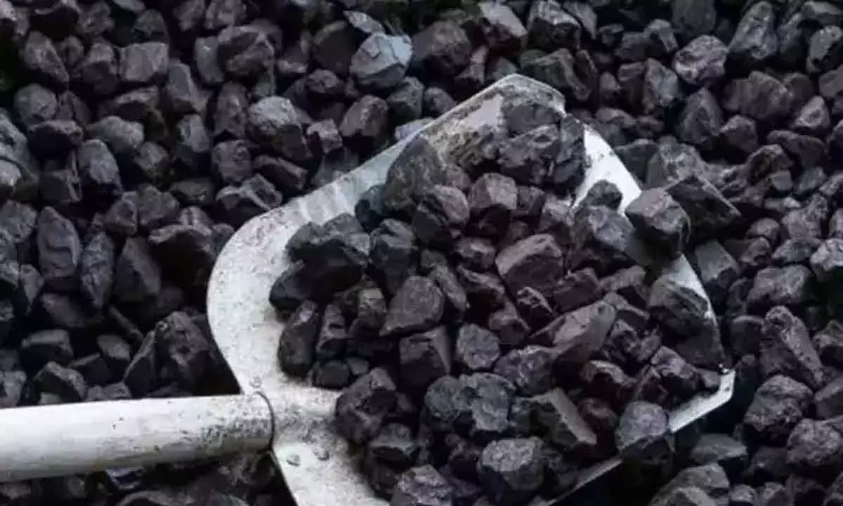 Coal import by power plants declines 40.66% in April-Dec as local production rises