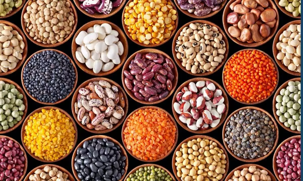 Govt warns against forward trade in pulses, imports from Myanmar being stepped up
