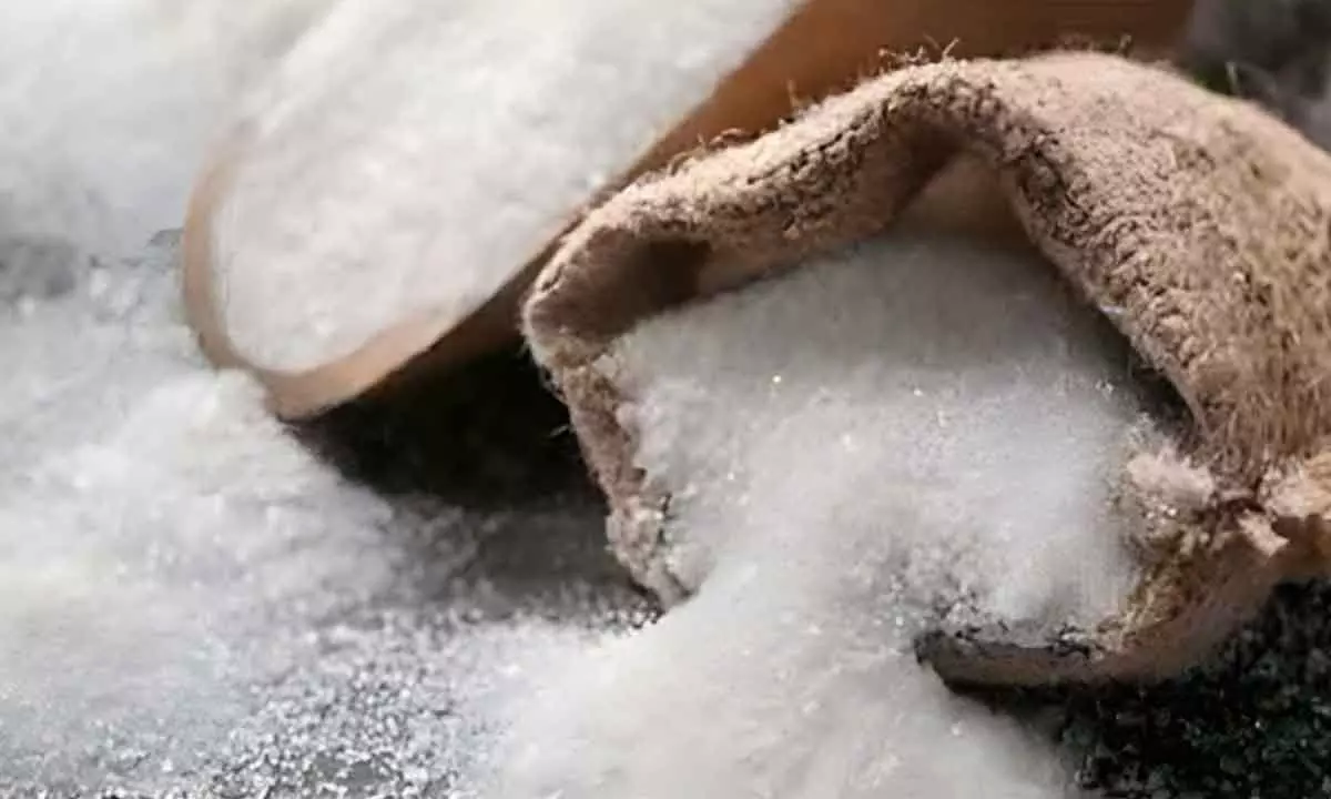 Sugar factory lying shut in Goa to resume operation