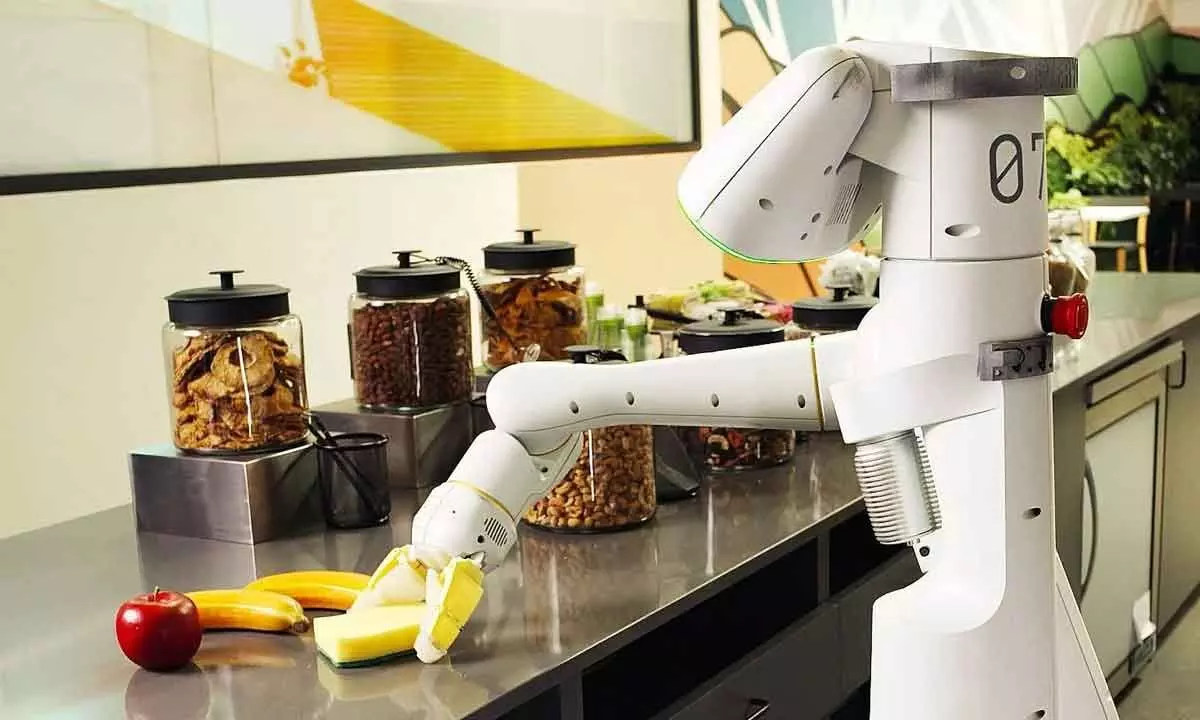 AI robots emerge as personal assistants at home