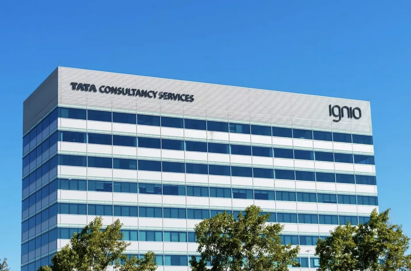 TCS explores market diversification amidst weakness in the United States